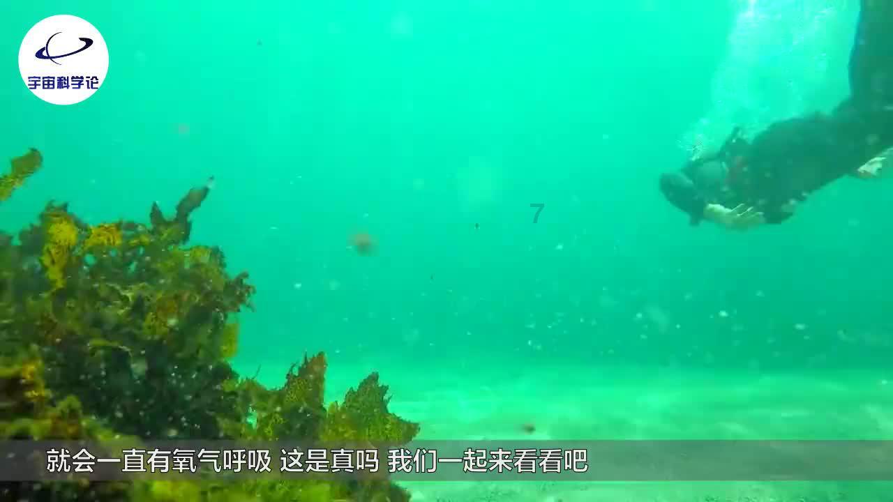 汉元帝的傅昭仪：差点让王政君母子被废，再多心机也是一场空